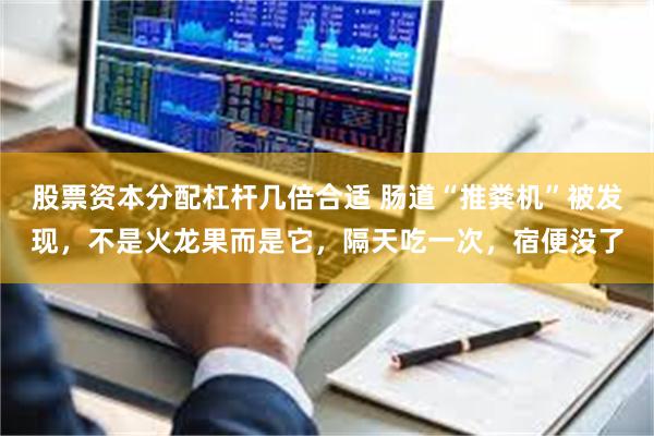 股票资本分配杠杆几倍合适 肠道“推粪机”被发现，不是火龙果而是它，隔天吃一次，宿便没了