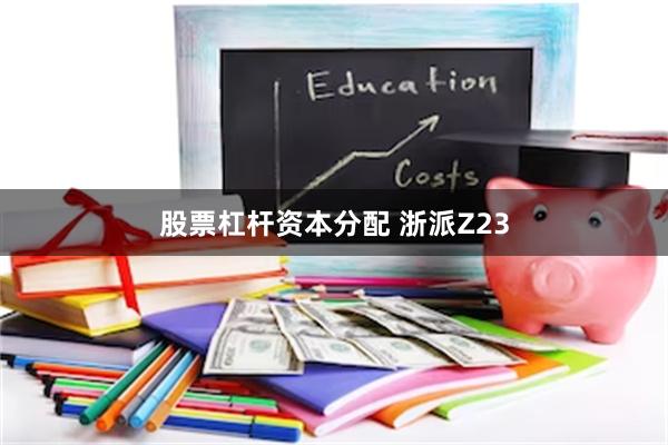 股票杠杆资本分配 浙派Z23