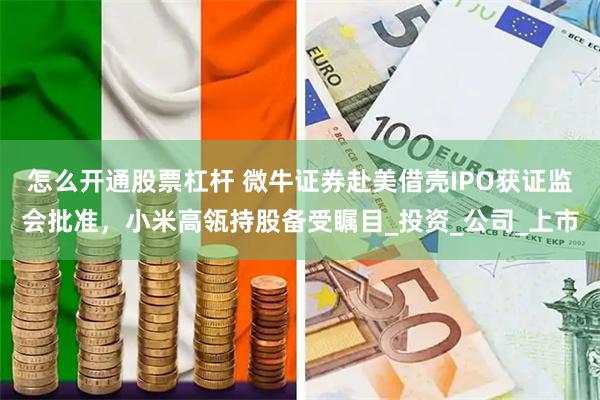 怎么开通股票杠杆 微牛证券赴美借壳IPO获证监会批准，小米高瓴持股备受瞩目_投资_公司_上市