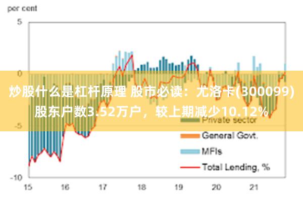炒股什么是杠杆原理 股市必读：尤洛卡(300099)股东户数3.52万户，较上期减少10.12%