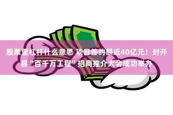 股票里杠杆什么意思 项目签约额近40亿元！封开县“百千万工程”招商推介大会成功举办