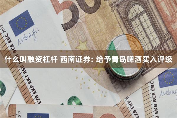 什么叫融资杠杆 西南证券: 给予青岛啤酒买入评级