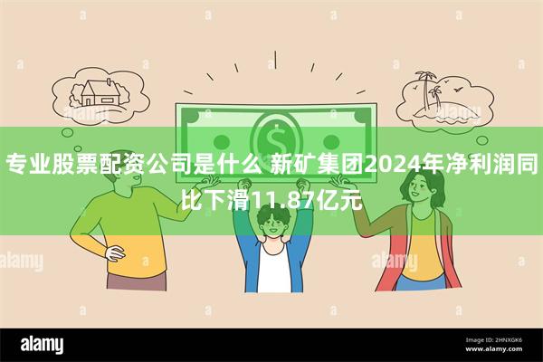 专业股票配资公司是什么 新矿集团2024年净利润同比下滑11.87亿元